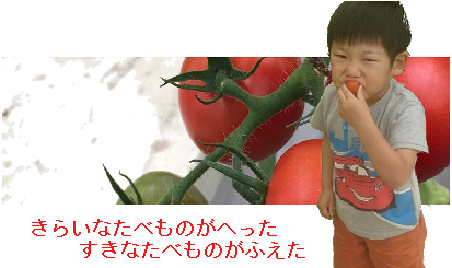 トマト商品リンク